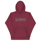EL Guapo Woman's hoodie